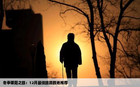 冬季暖阳之旅：12月最佳旅游胜地推荐