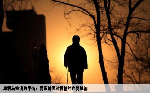 真爱与金钱的平衡：高富帅面对爱情的自我挑战