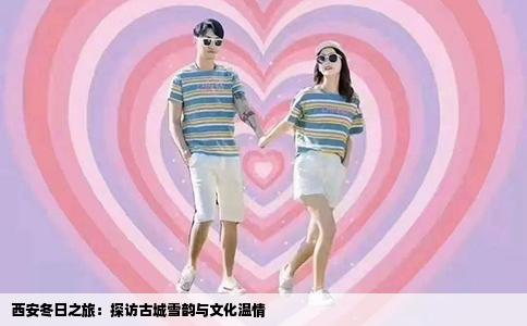 西安冬日之旅：探访古城雪韵与文化温情