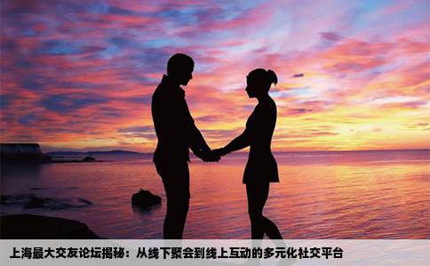 上海最大交友论坛揭秘：从线下聚会到线上互动的多元化社交平台