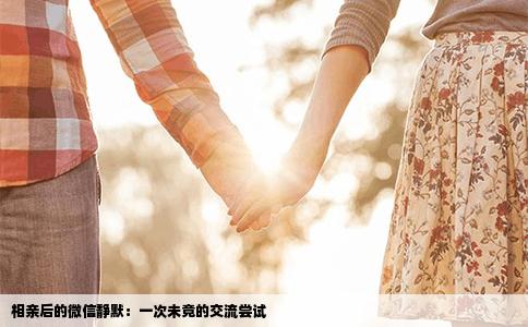 相亲后的微信静默：一次未竟的交流尝试