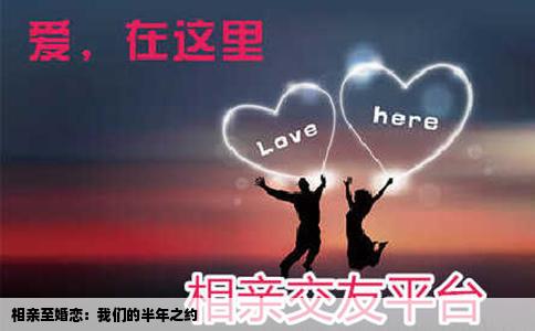 相亲至婚恋：我们的半年之约