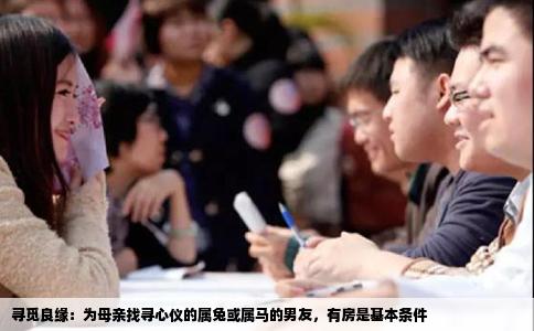 寻觅良缘：为母亲找寻心仪的属兔或属马的男友，有房是基本条件