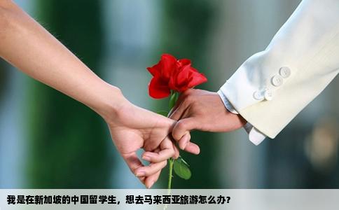 我是在新加坡的中国留学生，想去马来西亚旅游怎么办？