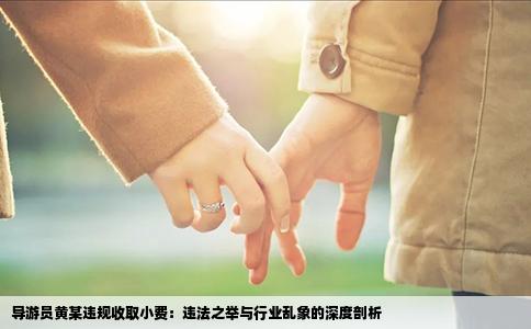 导游员黄某违规收取小费：违法之举与行业乱象的深度剖析