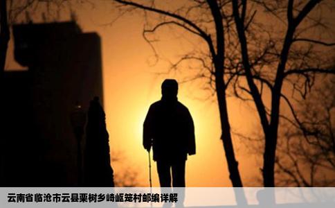 云南省临沧市云县栗树乡崎岖笼村邮编详解