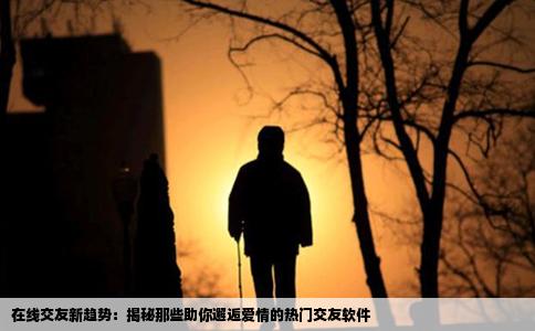 在线交友新趋势：揭秘那些助你邂逅爱情的热门交友软件