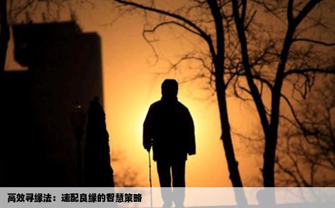 高效寻缘法：速配良缘的智慧策略