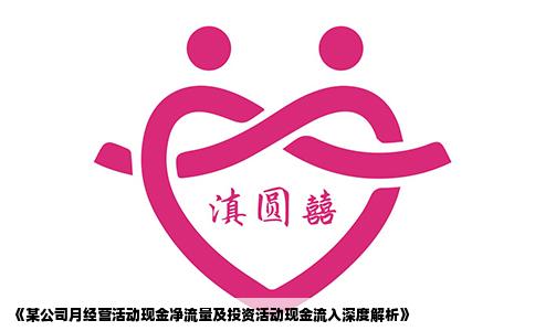《某公司月经营活动现金净流量及投资活动现金流入深度解析》