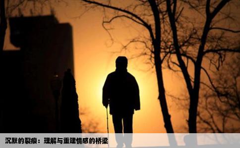 沉默的裂痕：理解与重建情感的桥梁