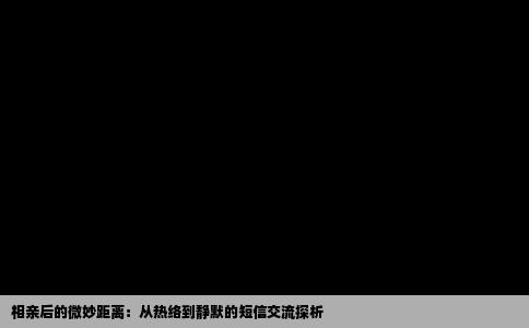 相亲后的微妙距离：从热络到静默的短信交流探析
